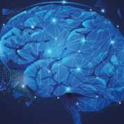 Grafische Darstellung eines Gehirns in blau gehalten, darüber liegt ein weißes Netz, welches den Empfang von elektrischen Impulsen signalisieren soll.